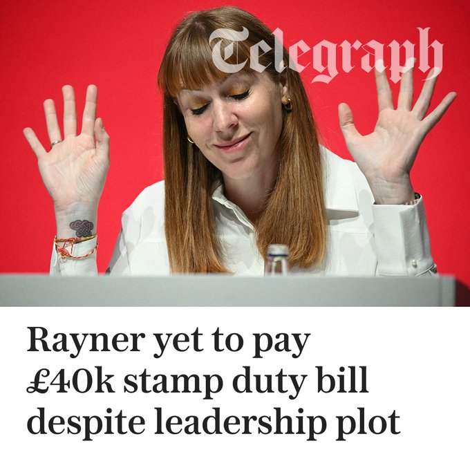 Exiled - Irish tweet media