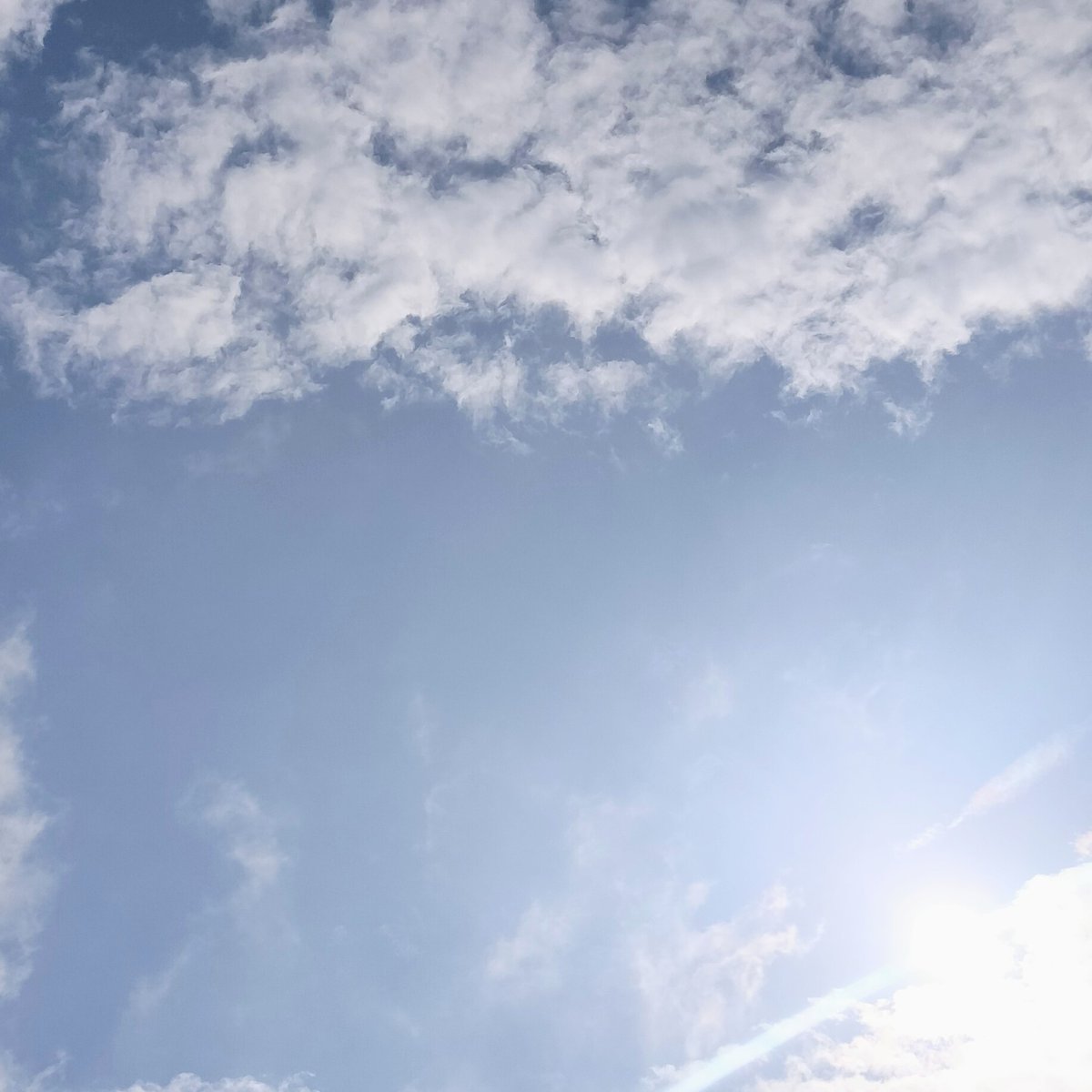 mi*@やさしく整う季節の暮らし tweet media