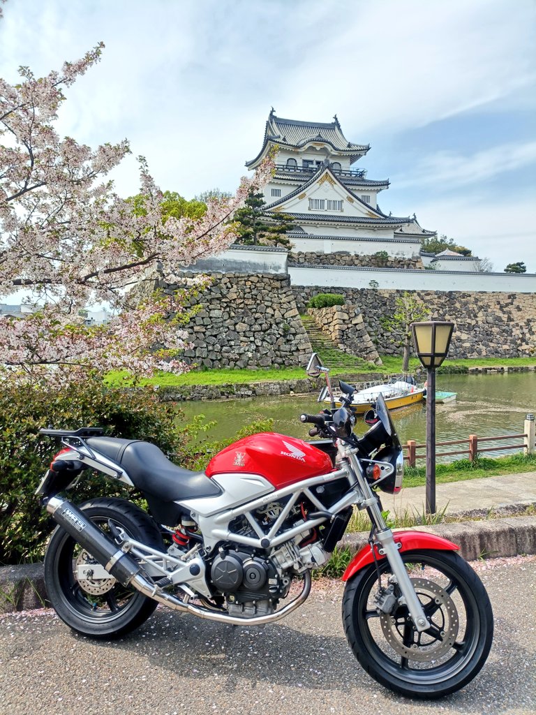 天然いのブー tweet media