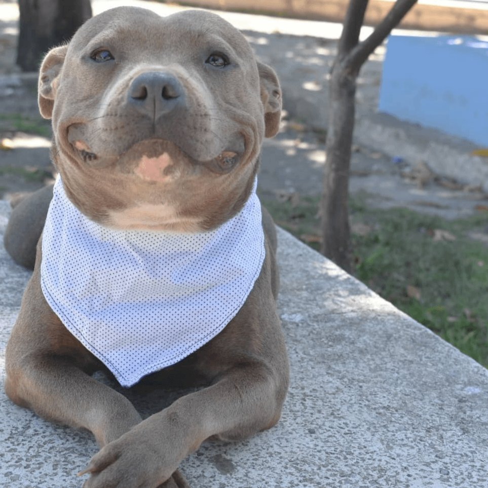 carmen. 🫜 tweet media