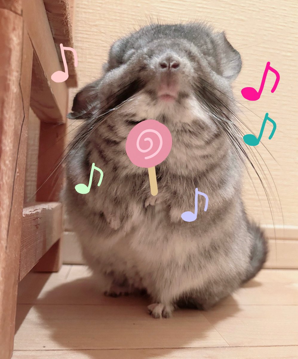 ぴゅあすまいる♪ tweet media