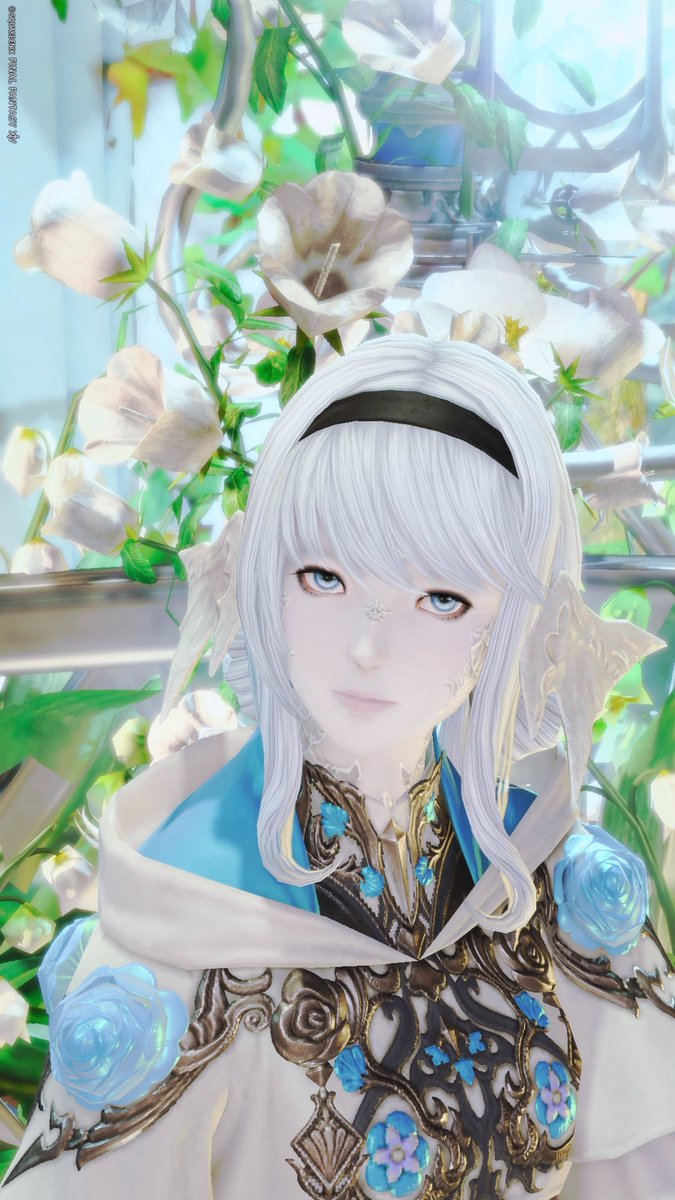 アイヴィー tweet media