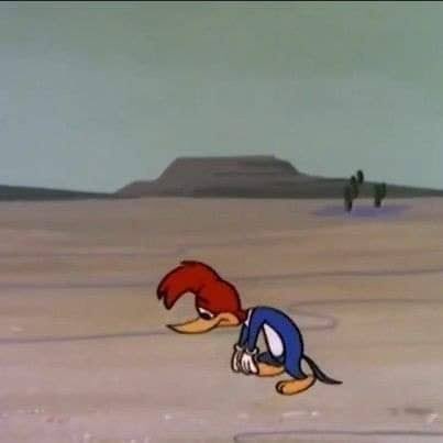 Hud ᶜᵉᶜ tweet media