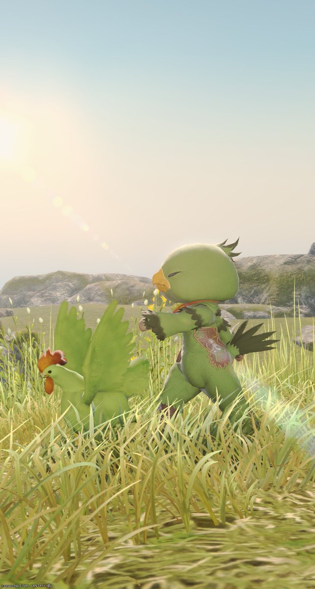 teto🍀 tweet media