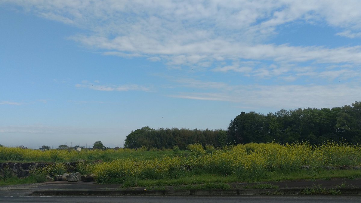 norimobit_able tweet media