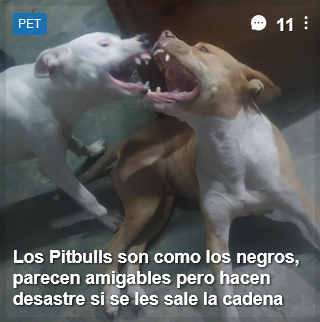 Voxed Posting tweet media