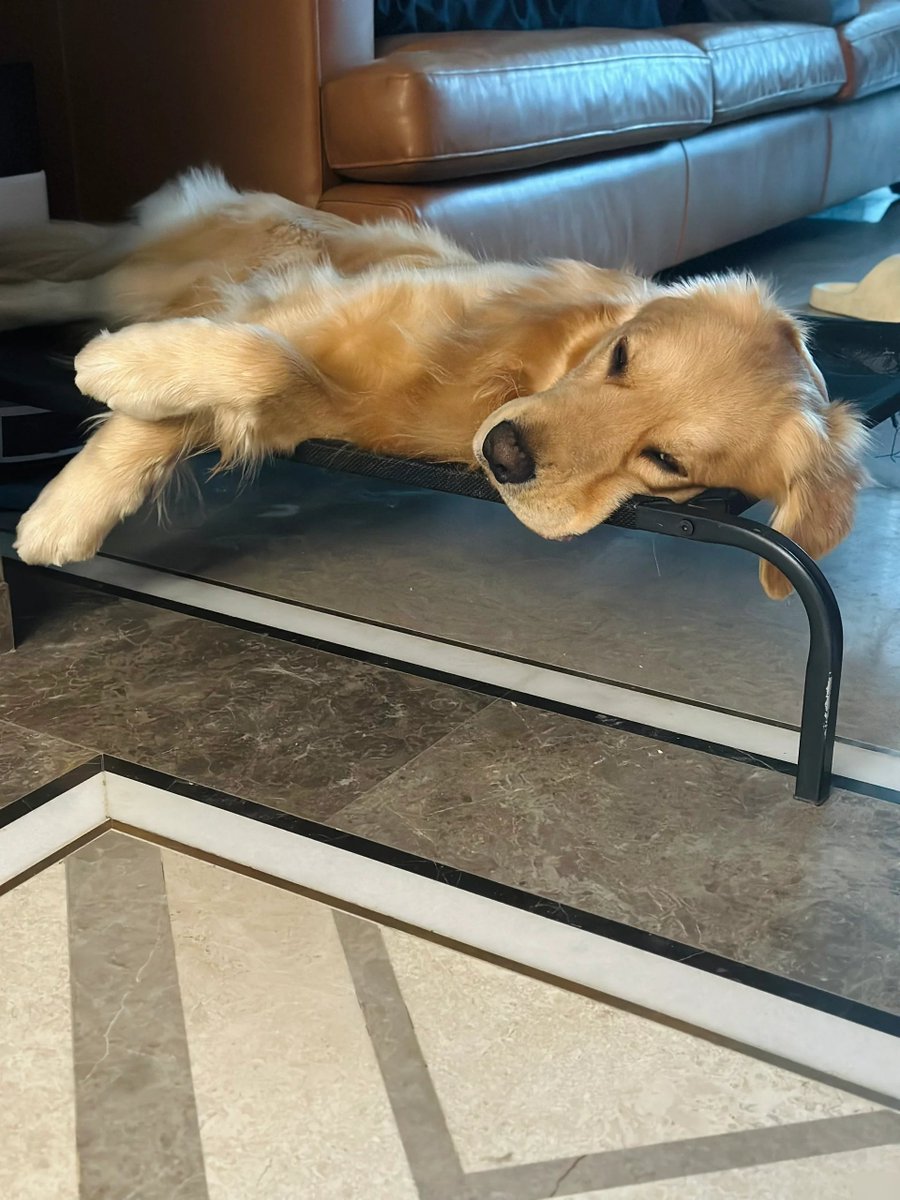 Mahtab Salim tweet media