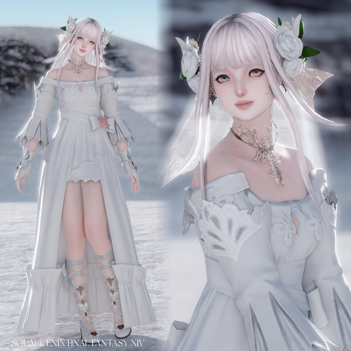 ℕ𝕠𝕣 tweet media