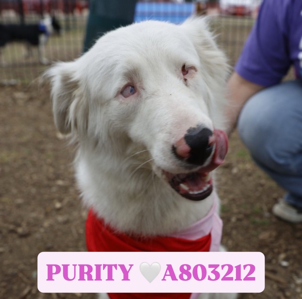 Aurora ⸆⸉ misses Liam ❯❯❯❯ tweet media