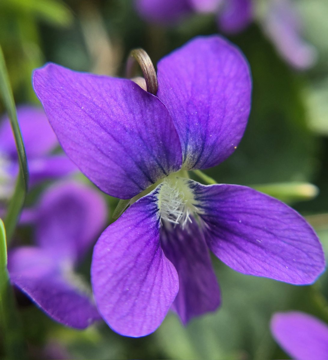 🐞 Avy 🐞 tweet media