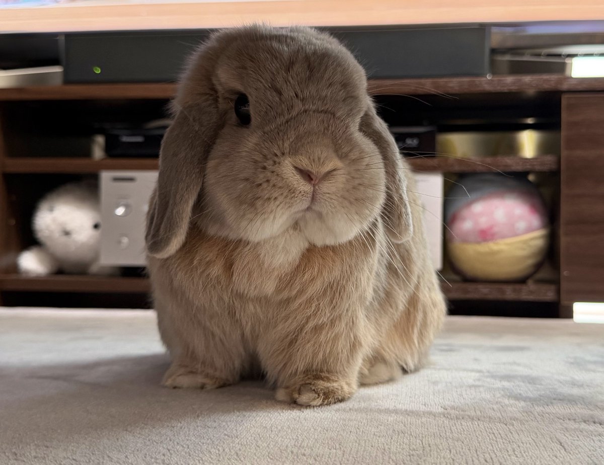 𝚔𝚞𝚛𝚞𝚖𝚒 tweet media