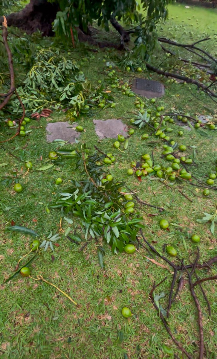 La Bruja 🇷🇪🇵🇪 tweet media