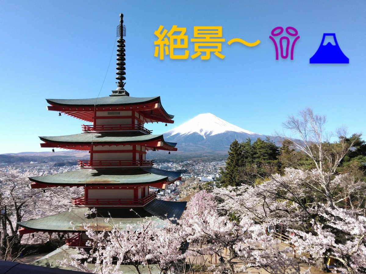 ジョエ tweet media