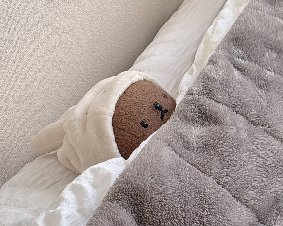 もちもちぼりちゃん tweet media