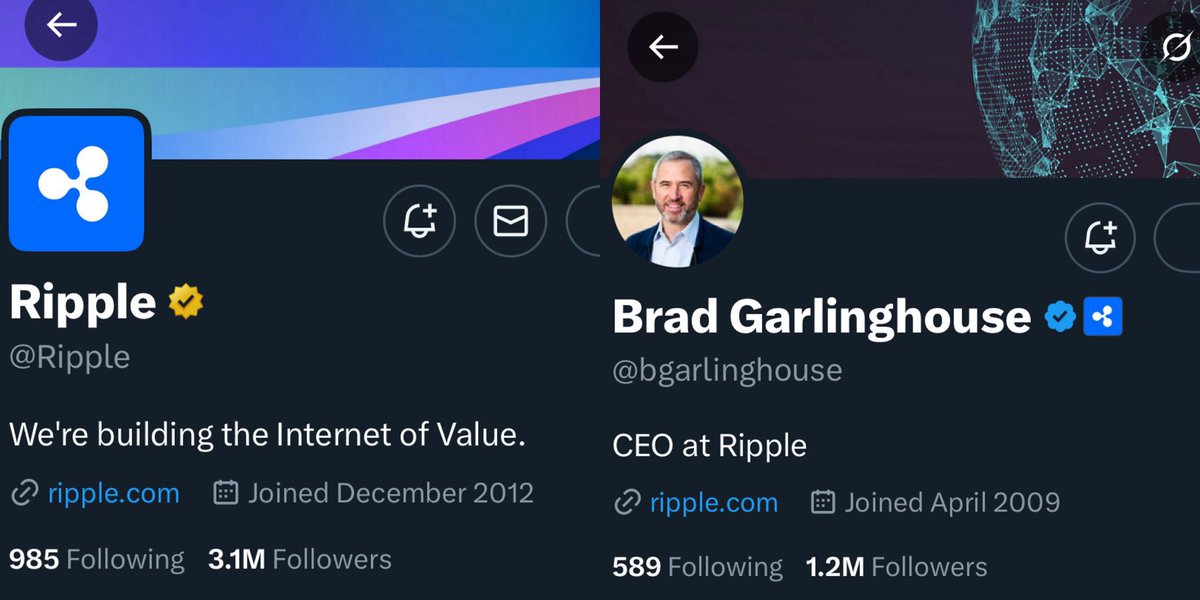 CooperDogDad tweet media