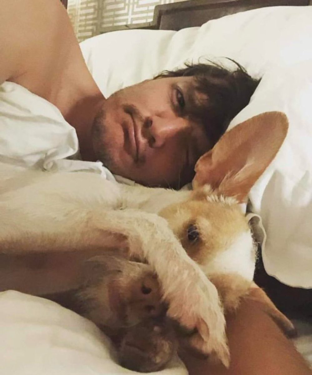 Simon Pascal Knowles Castillo tweet media