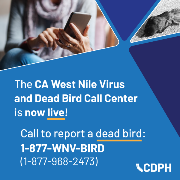 GLAmosquito tweet media