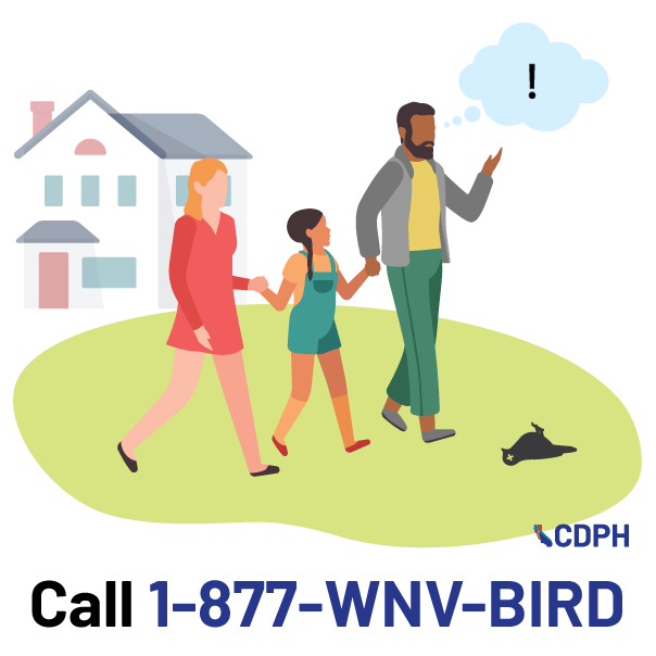 GLAmosquito tweet media