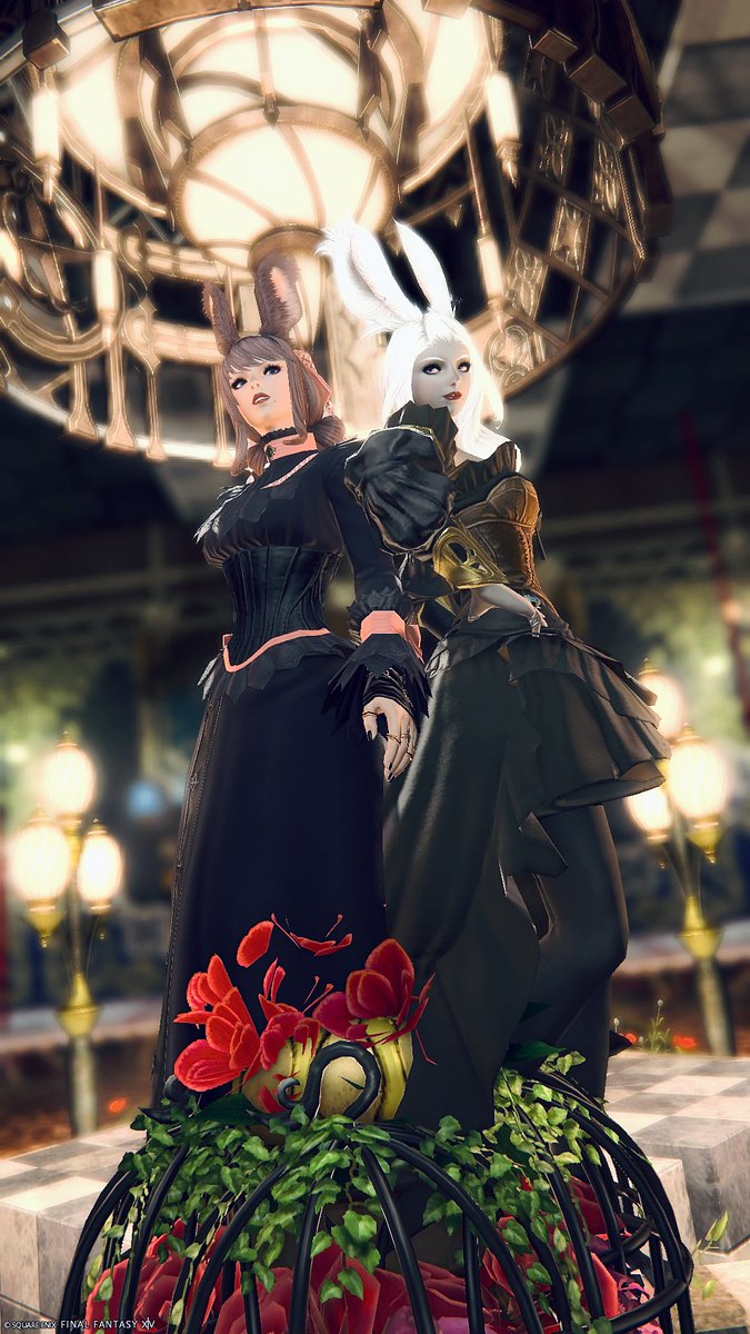 Sora ❂ 🌱 tweet media