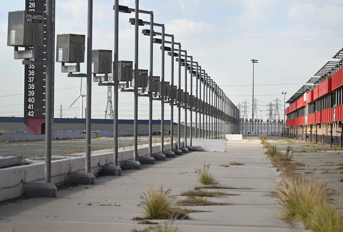 Felipe Meira tweet media