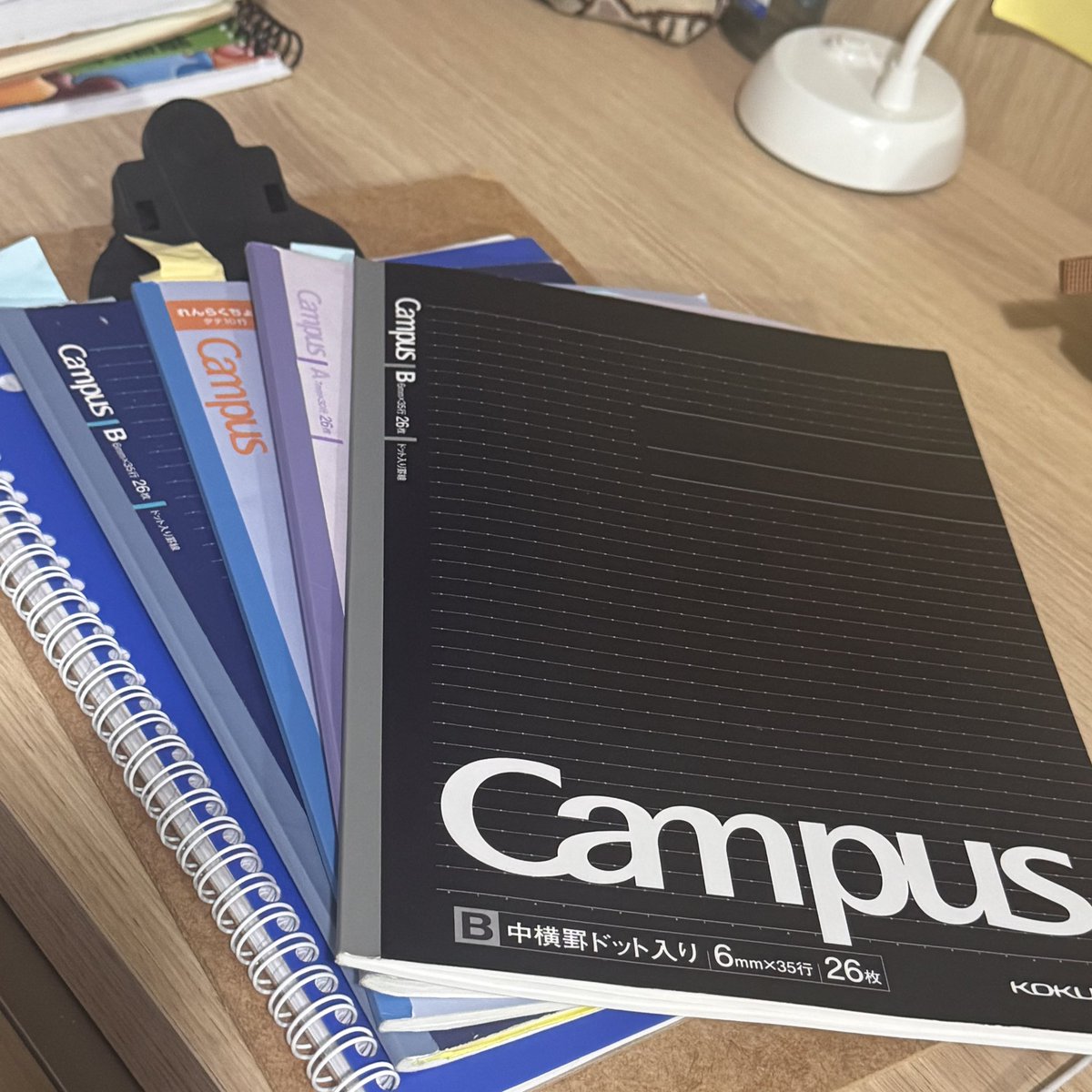 lui 🏛️ tweet media