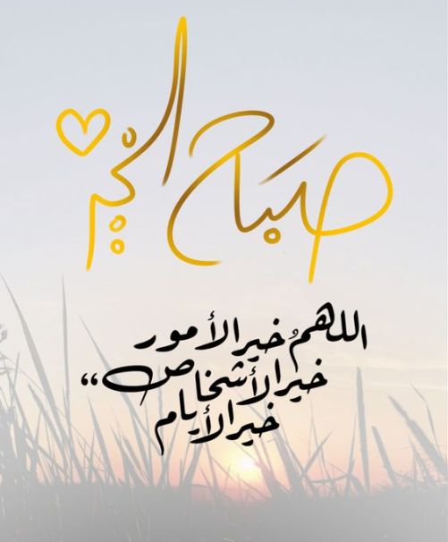 محمد العالمي💙💛 tweet media
