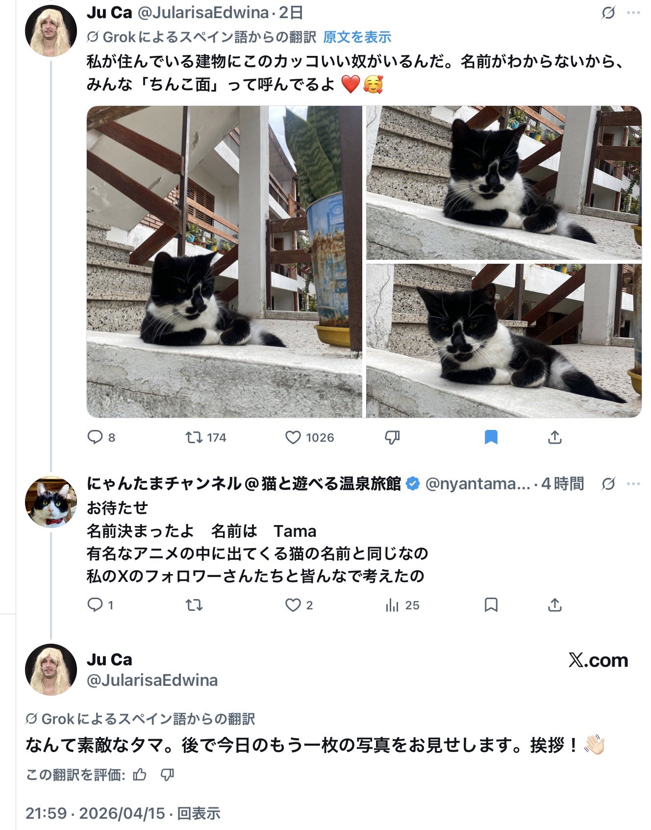 にゃんたまチャンネル@猫と遊べる温泉旅館 on X: 