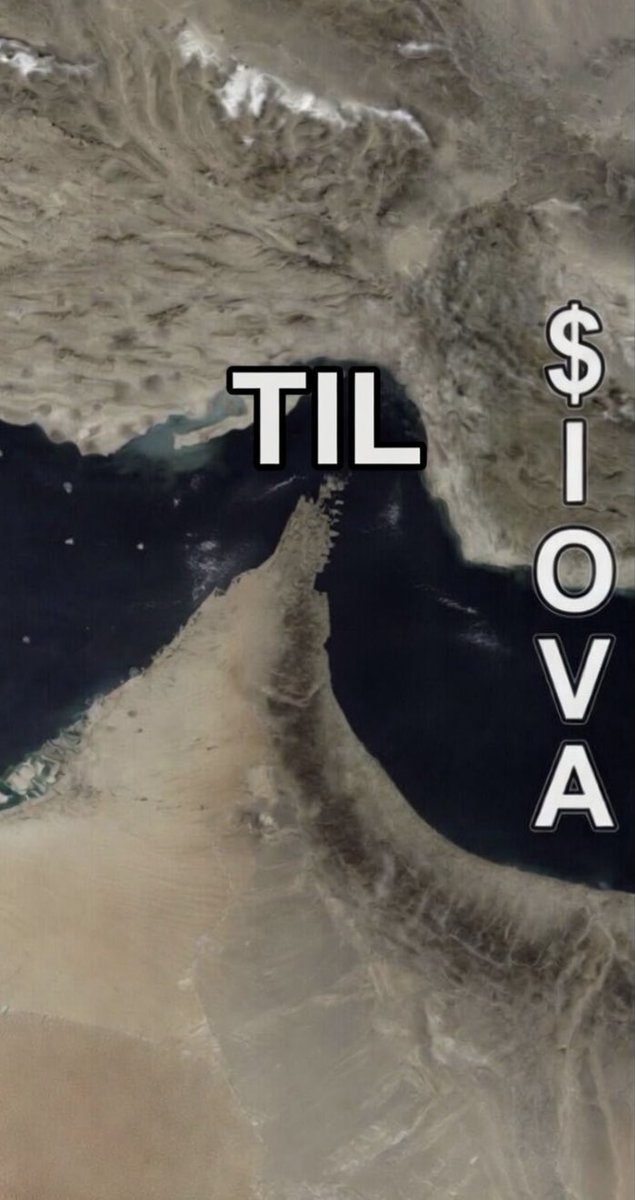 BIOTECH SCANNER tweet media