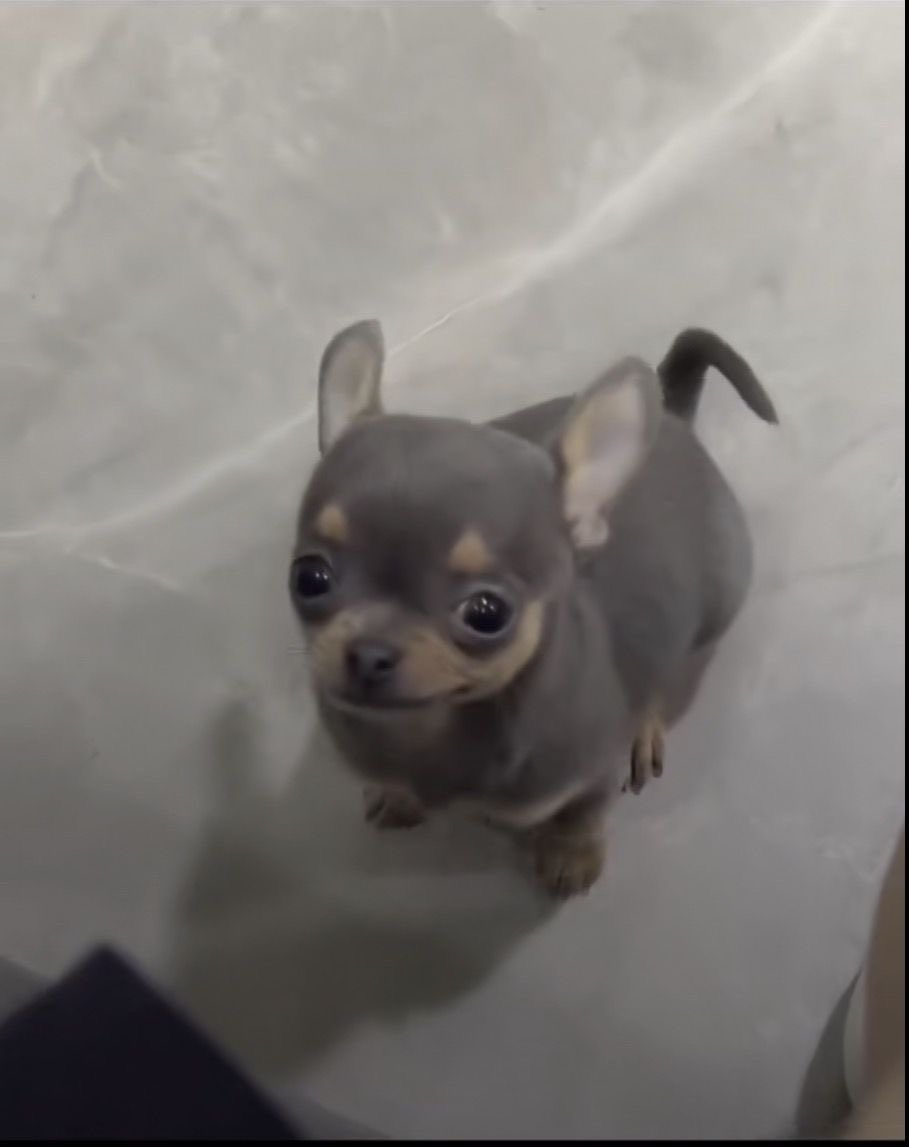 S4iki//thinspo//edtwt tweet media