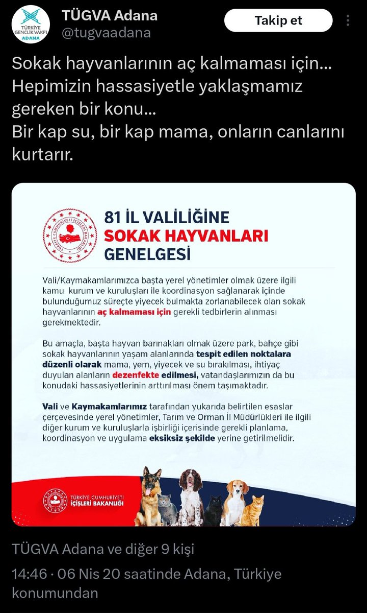 Semra POLAT tweet media