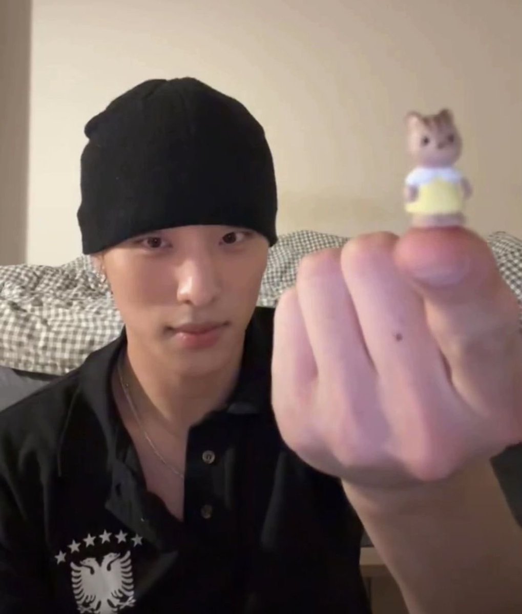 harl .𖥔 ݁ ˖ tweet media