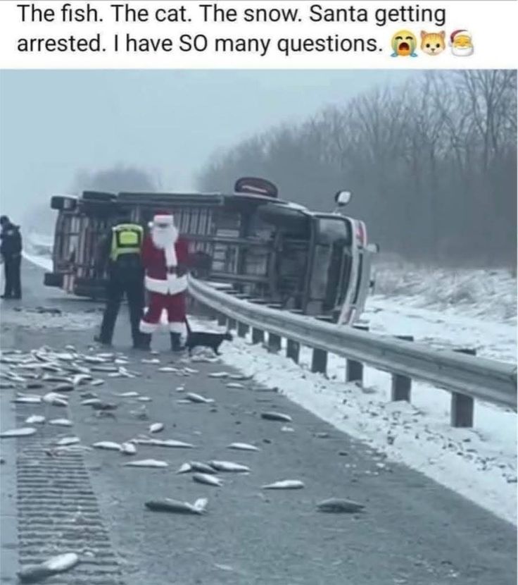 Wolf of X (@tradingmaxisl) on Twitter photo 