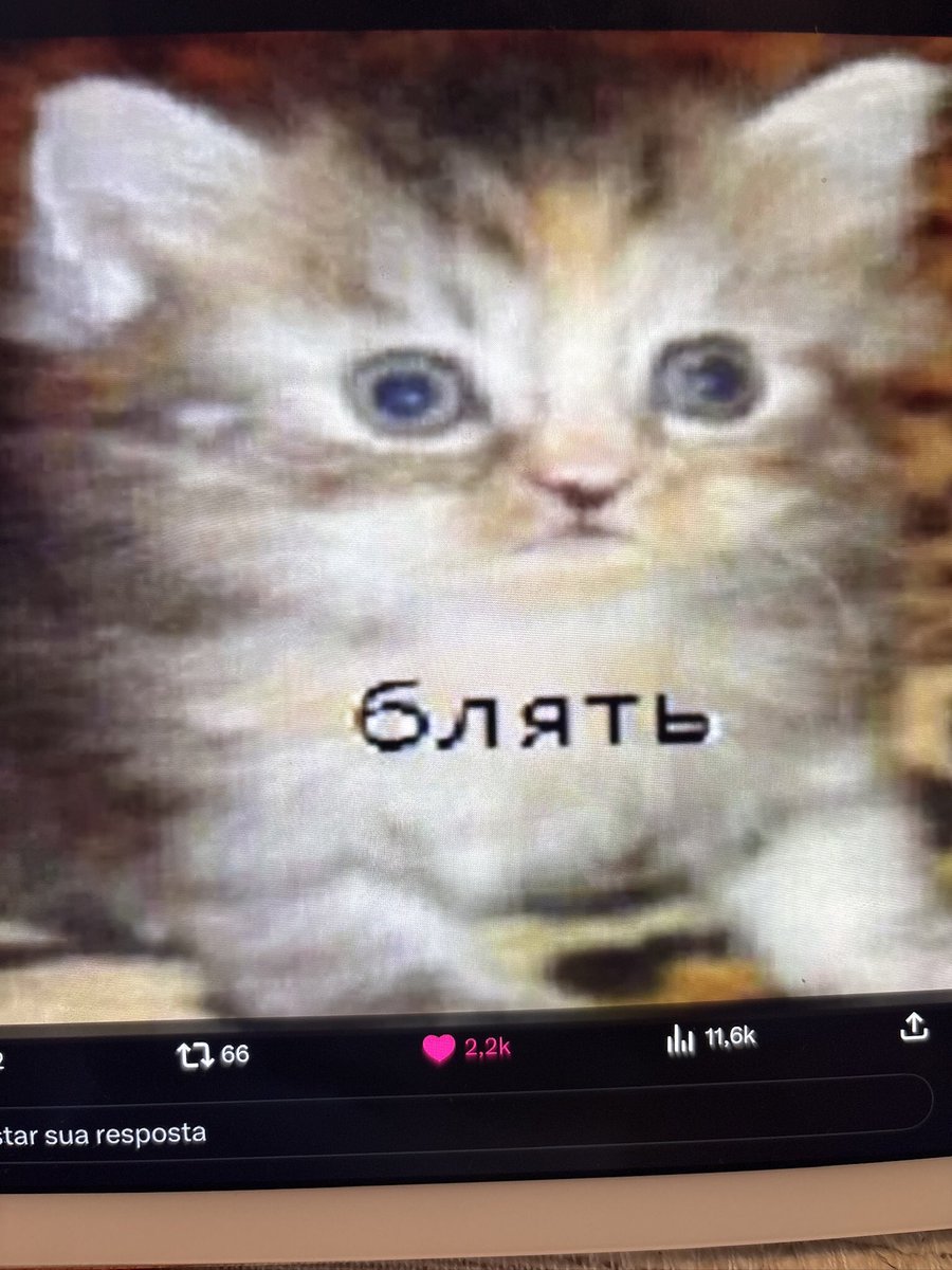 Ana Cavalcanti tweet media