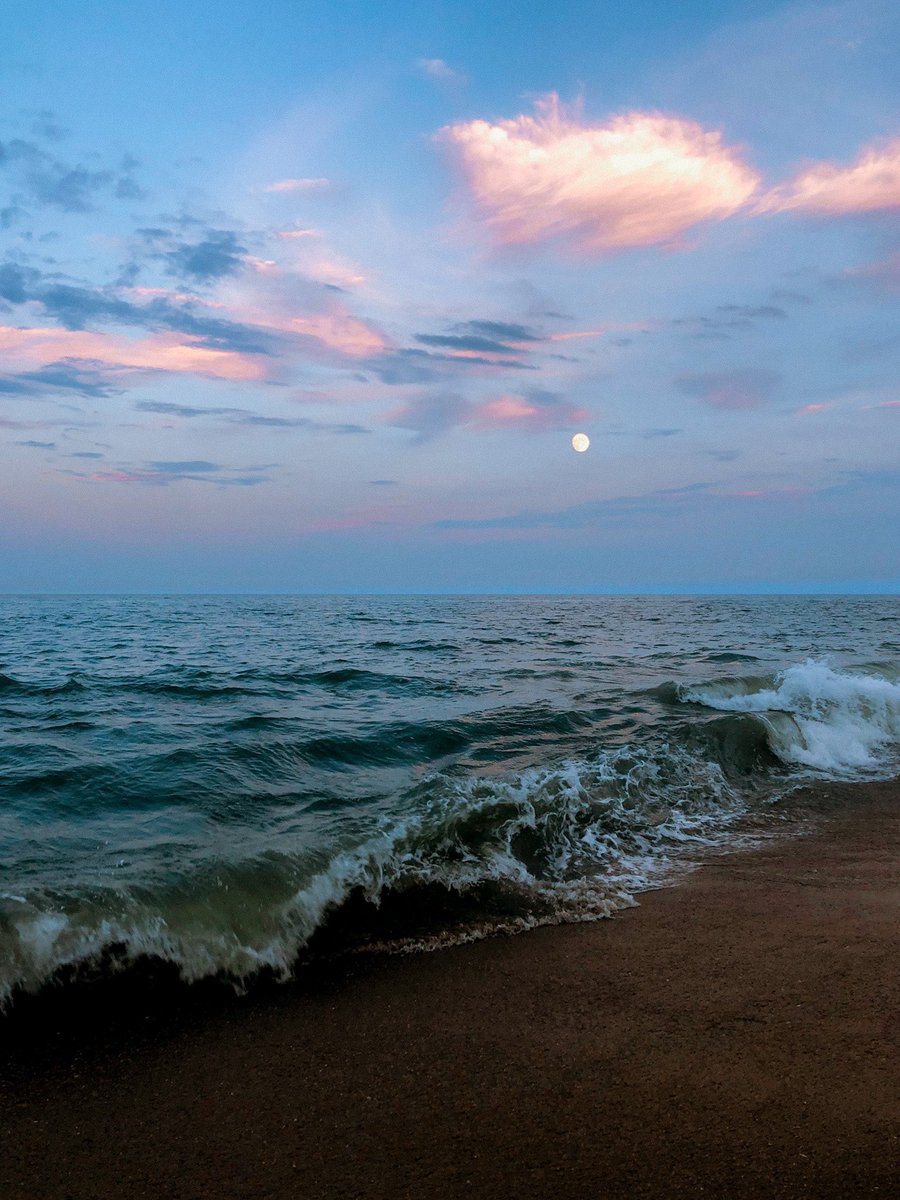 Nevin Johnson tweet media