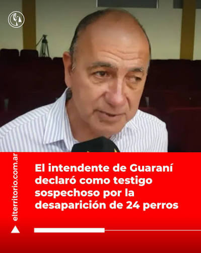 En Guaraní (Misiones) había un refugio de perritos. Su dueña falleció y el intendente Miguel Ángel Vargas los hizo desaparecer. Hay un audio donde lo dice. Según él fueron adoptados, según un empleado municipal, los mataron. 
Necesitamos explicaciones <a href="/passalacquaok/">Hugo Passalacqua</a>