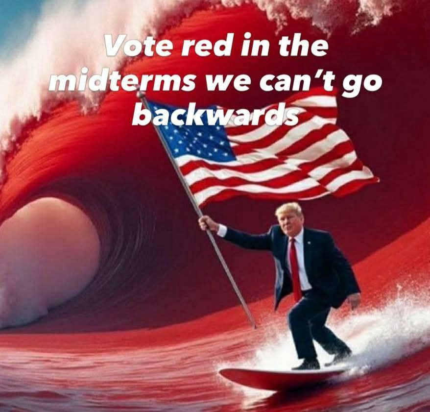 🇺🇸Lady Vet tweet media