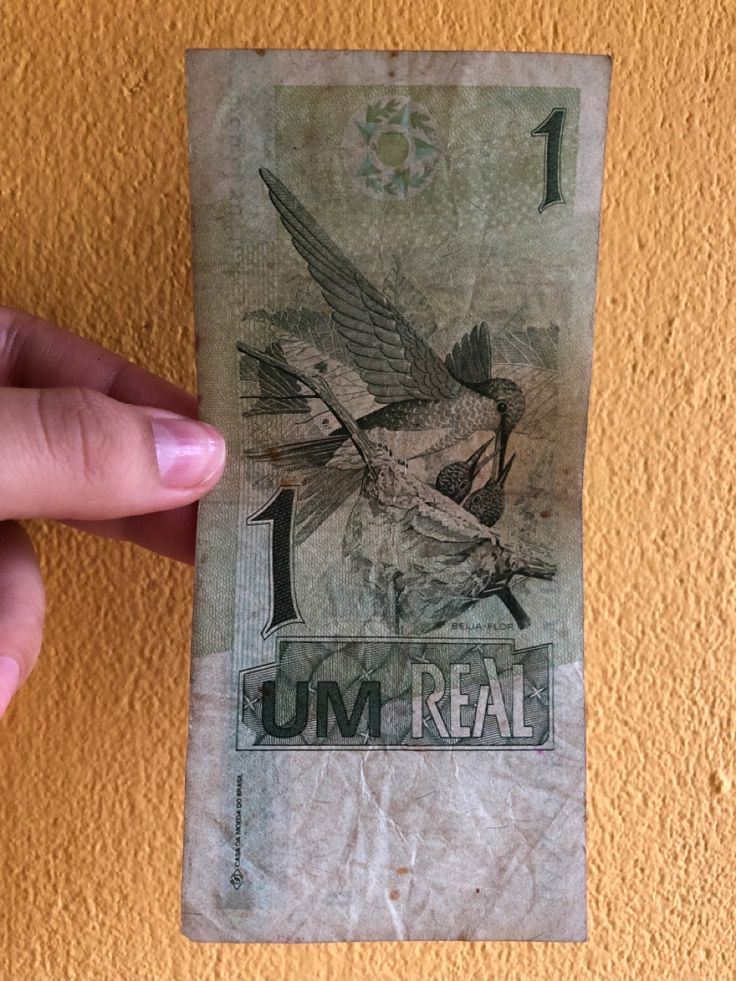 Viviane Fernandes ཐི༏ཋྀ tweet media