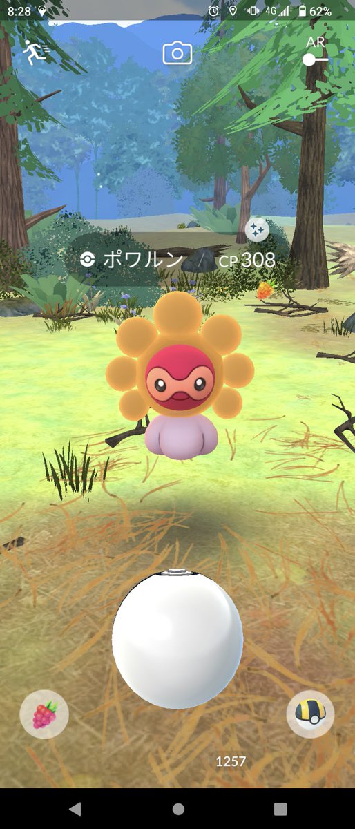 yuuuma 元( ¯•ω•¯ )珍 tweet media