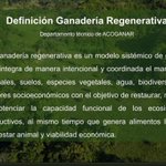Photo by Hacienda El Pajuil - Ganadería Regenerativa (@romanfja)