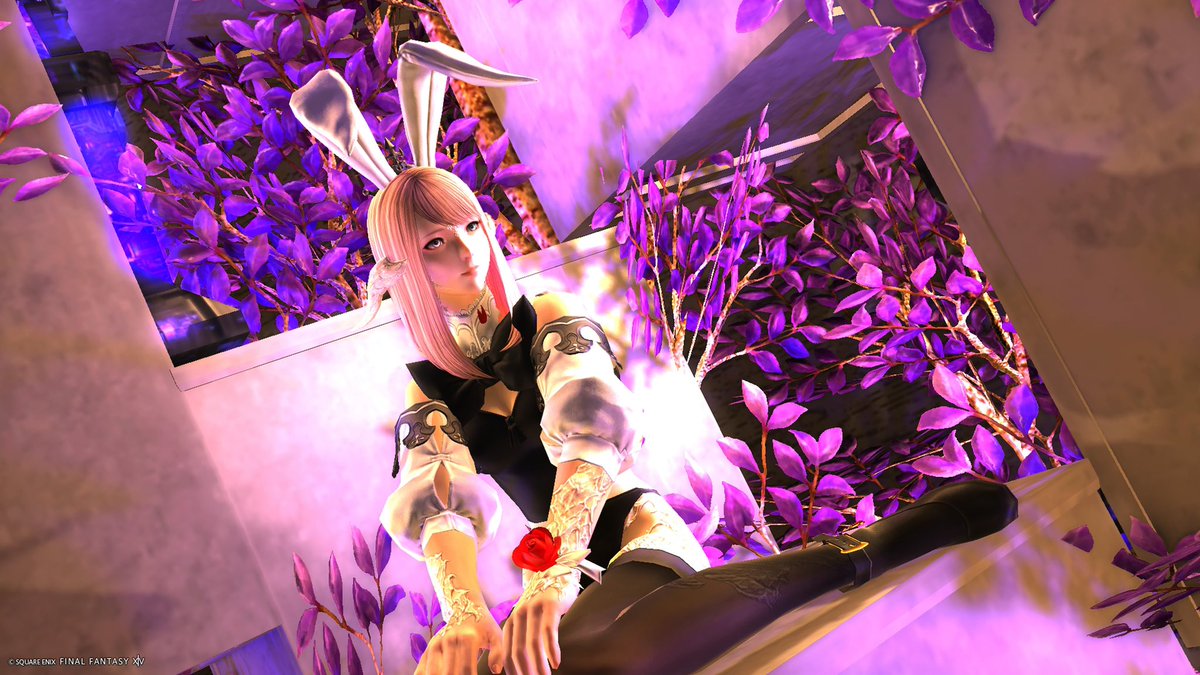 砂糖メキメキのSakuraMint 🜸🦄@低浮上 tweet media