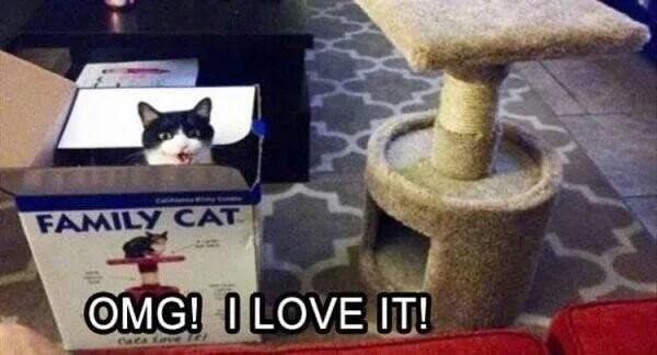 WholesomeMemes (@wholesomememe) on Twitter photo 