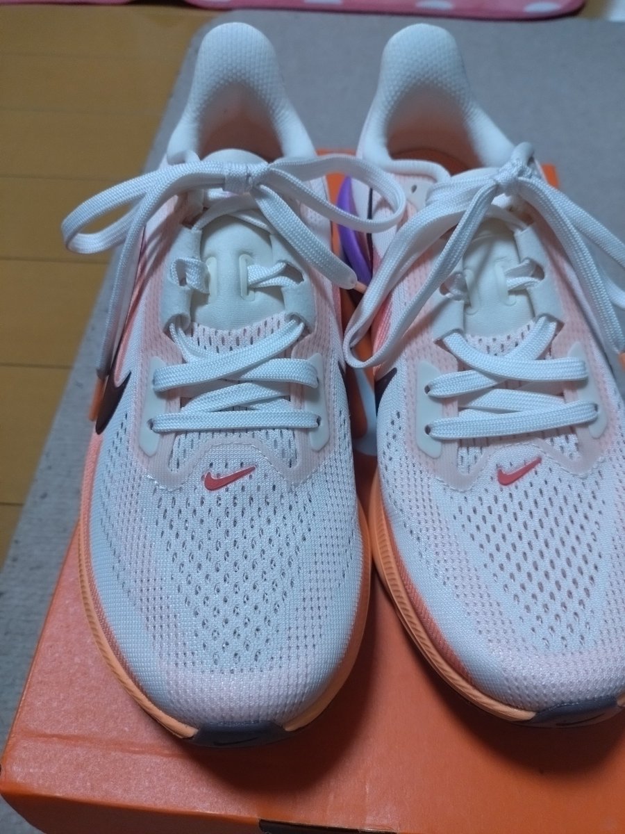 新しいランニングシューズをお迎えしました✨1足目と同じペガサス👟
やっぱり足に馴染んでる気がする🤭