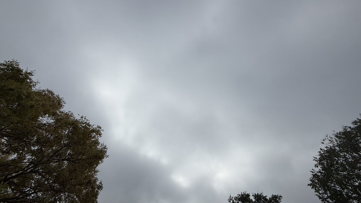 wapple15's tweet image. Good morning #Canberra 🌫️🌫️ with a foggy start but #SureHappyItsThursday