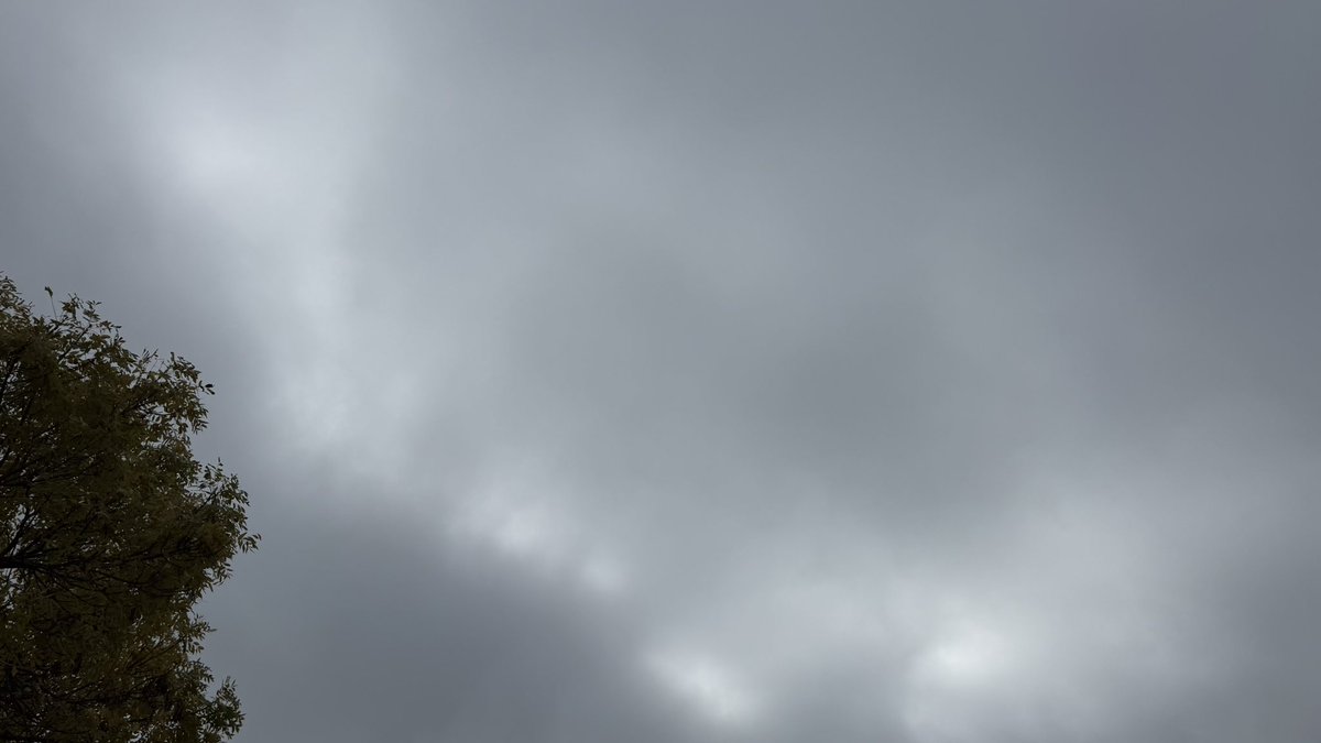 wapple15's tweet image. Good morning #Canberra 🌫️🌫️ with a foggy start but #SureHappyItsThursday