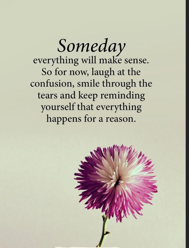 𝘔𝘶𝘳𝘢𝘭𝘪𝘥𝘩𝘢𝘳 𝘒 tweet media