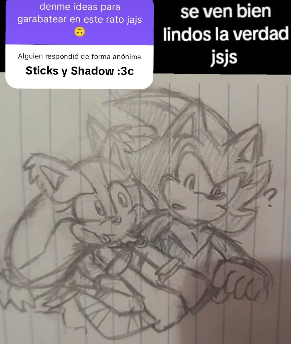 🤎🖤
x.com/SonicFanMariArc