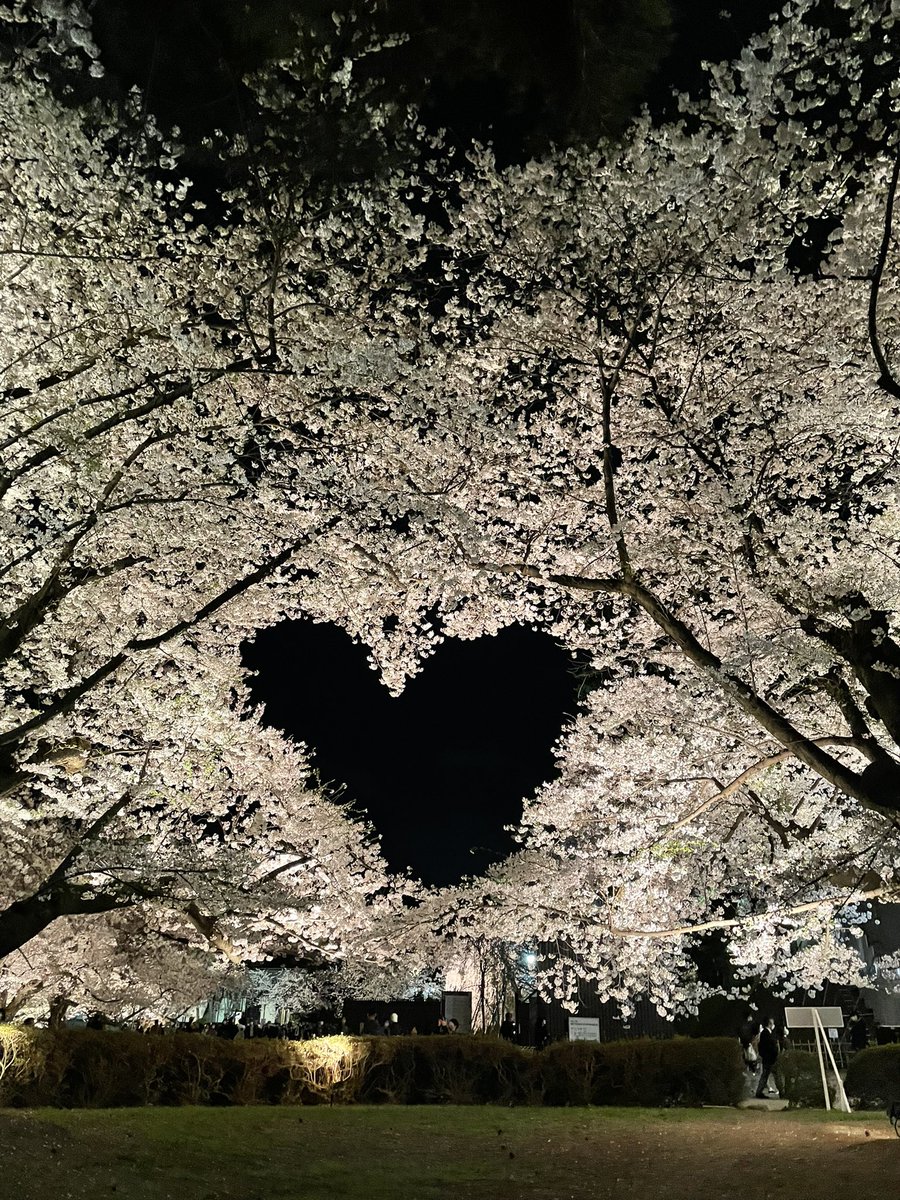 おはようございます☀️

いよいよ東北の方も
桜が咲いてきているようです🌸

春が順番に
北へ向かってる感じしますね😊

…と思ったら

南からはヒタヒタと
夏の暑さが攻めてきてる😂

今日も体調気をつけて
よい1日を✨
