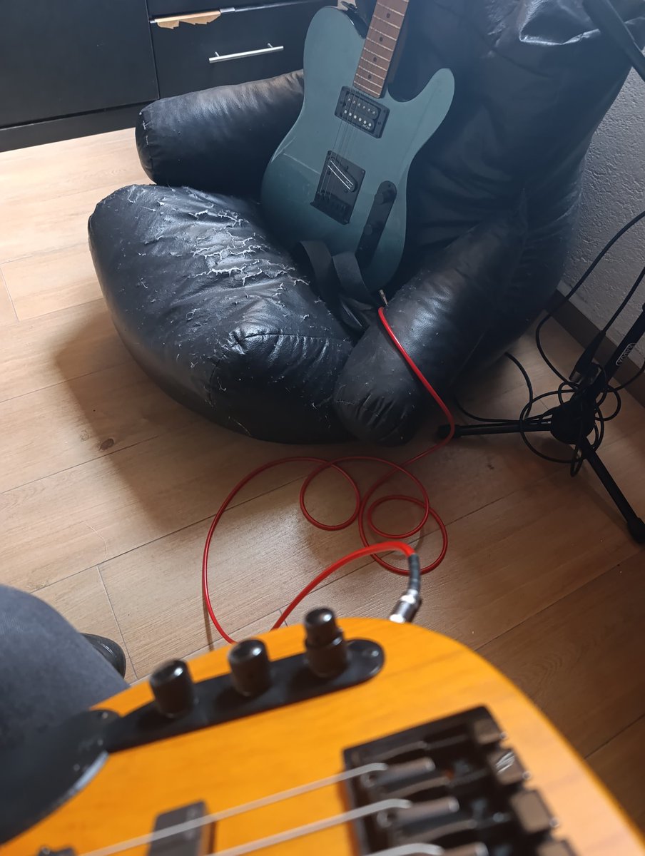 Eive 🪶🌼 tweet media