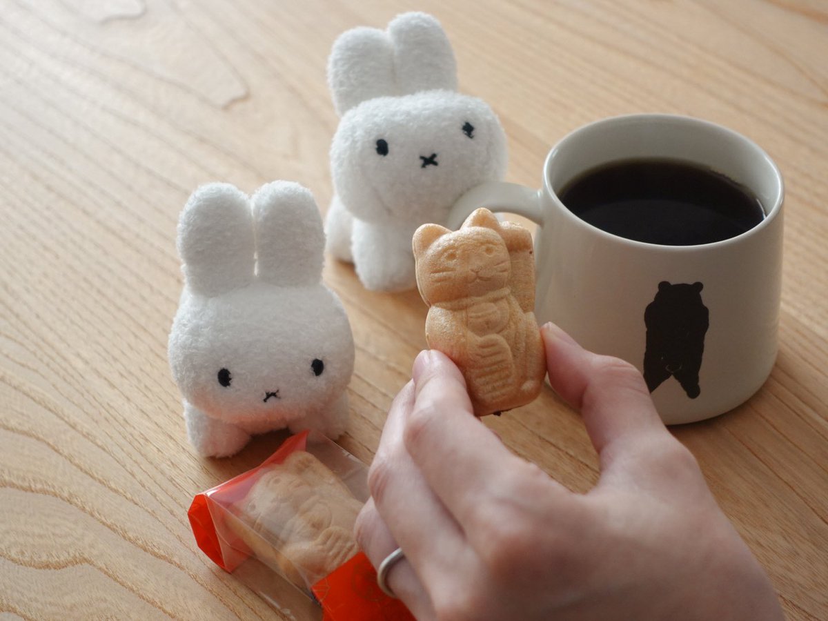 うさぎです tweet media