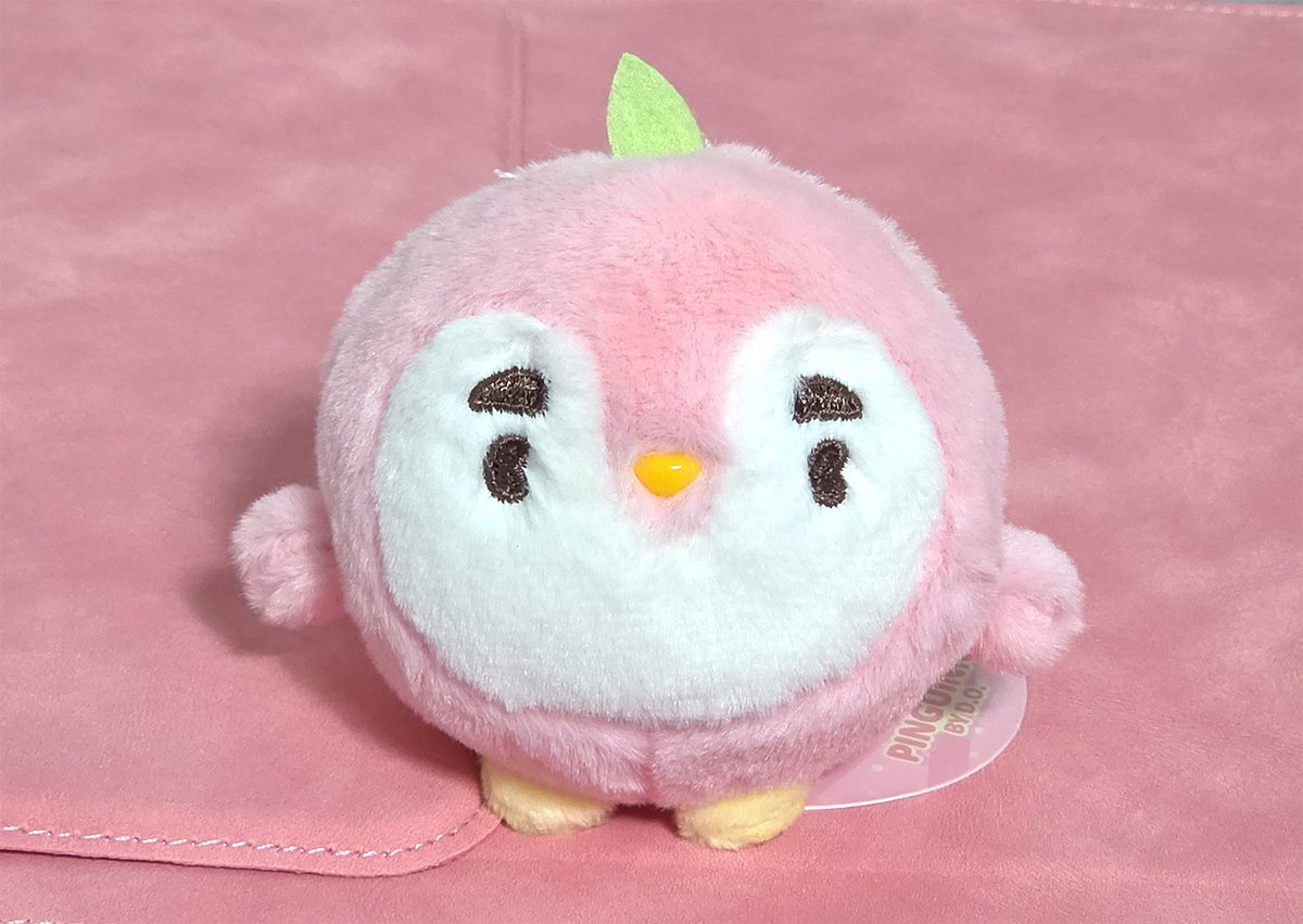 후유키 tweet media